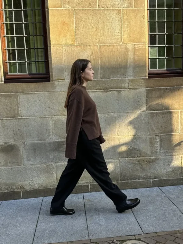 Gris Sartre Sweater Brown Discount